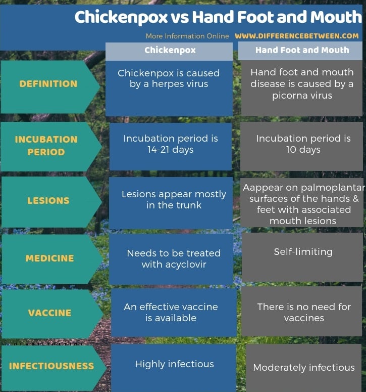 Difference Between Chickenpox and Hand Foot and Mouth